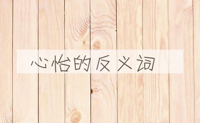 用心怡造句