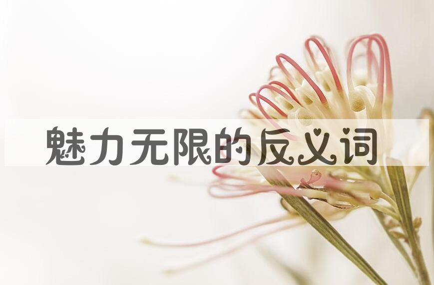 用魅力无限造句