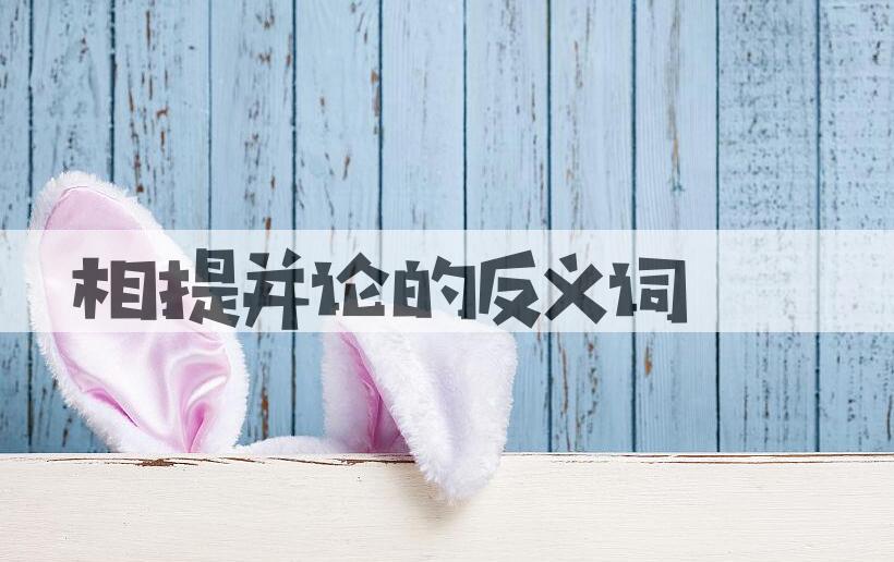 用相提并论造句