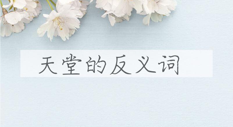 用天堂造句