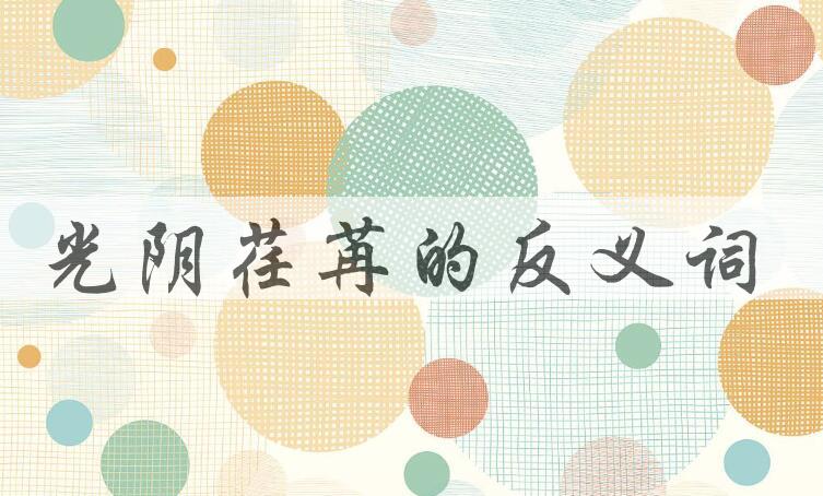 用光阴荏苒造句