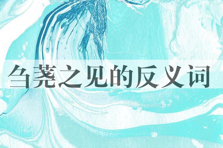 用刍荛之见造句