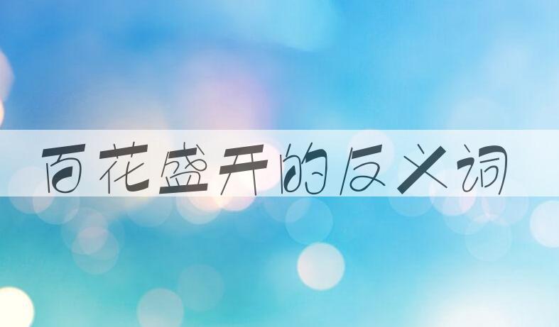 用百花盛开造句