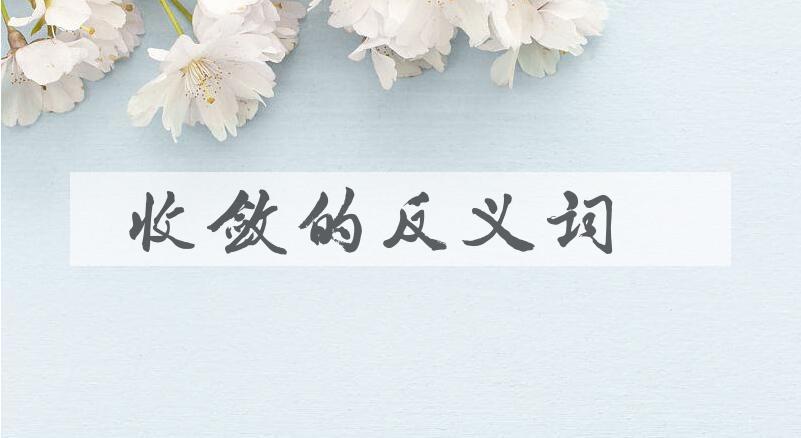 用收敛造句