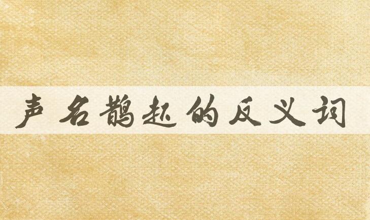 用声名鹊起造句