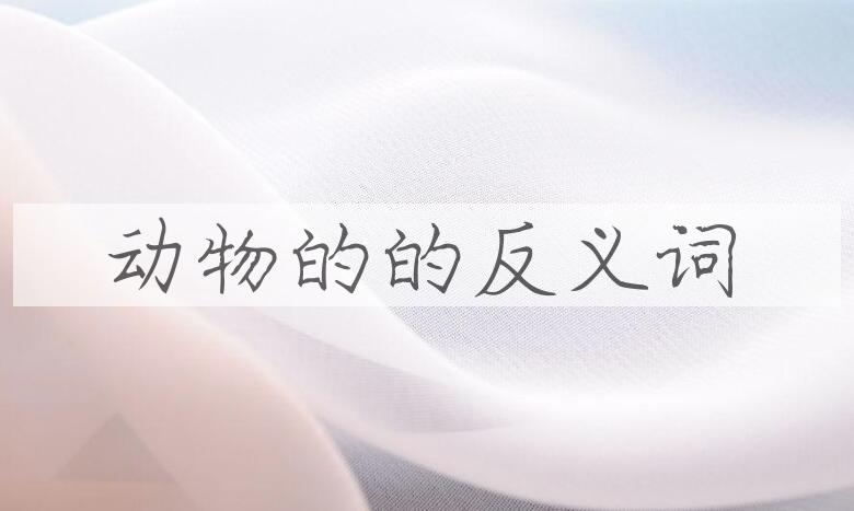 用动物的造句