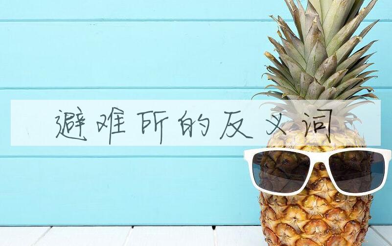 用避难所造句
