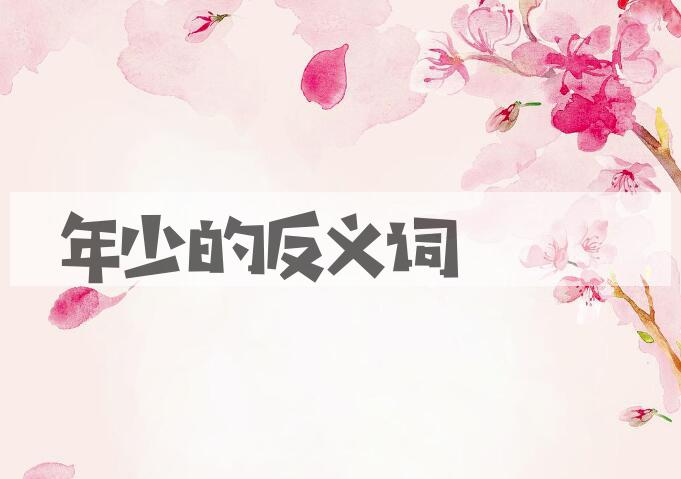 用年少造句