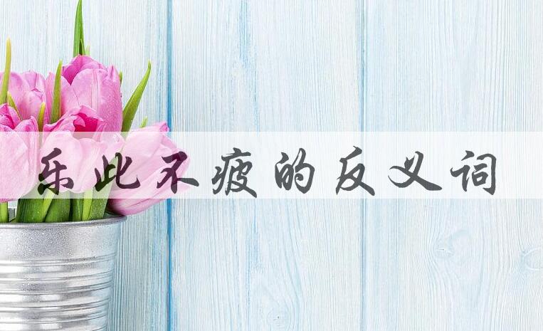 用乐此不疲造句