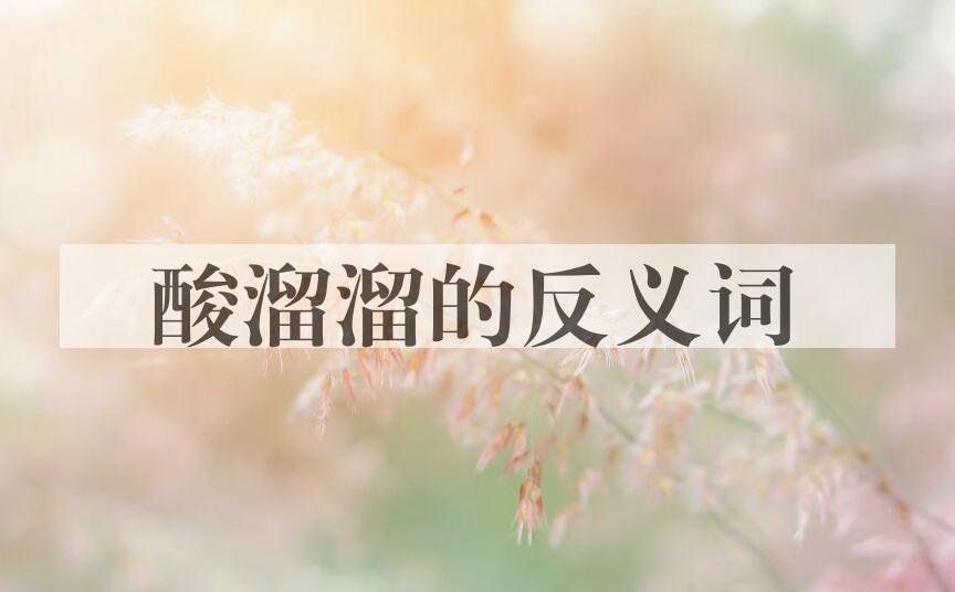 用酸溜溜造句