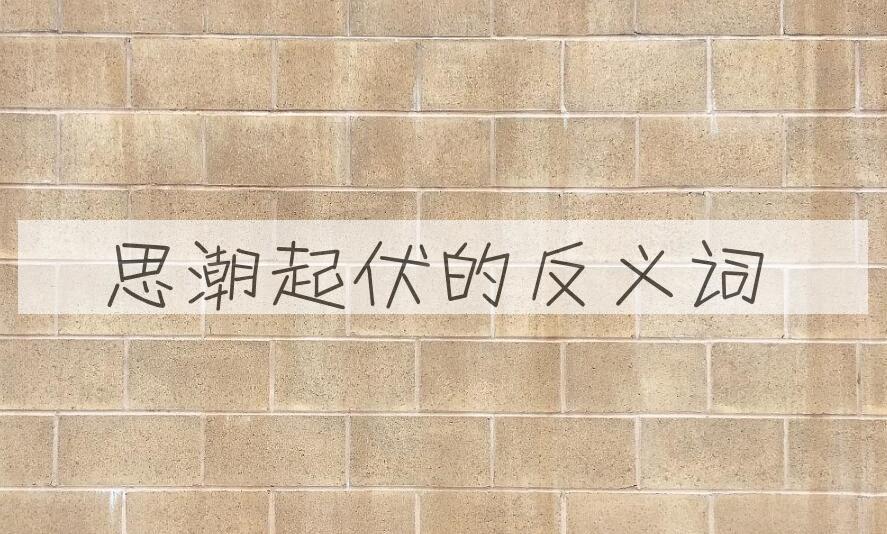 用思潮起伏造句