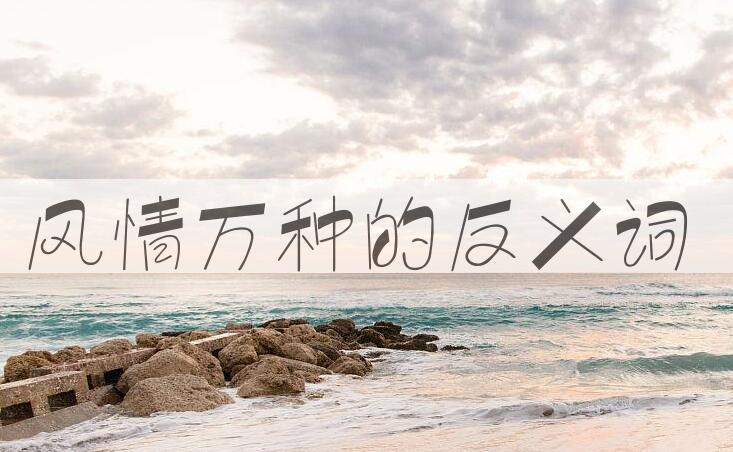 用风情万种造句