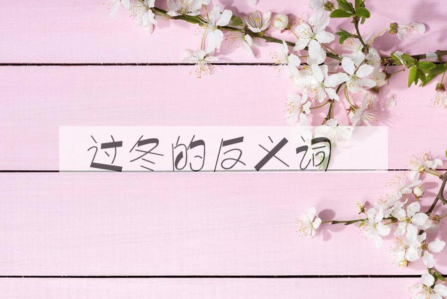 用过冬造句