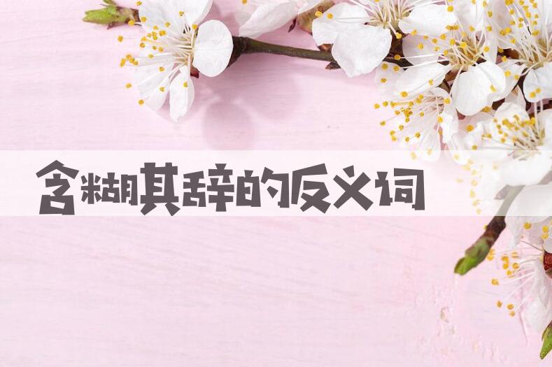 用含糊其辞造句