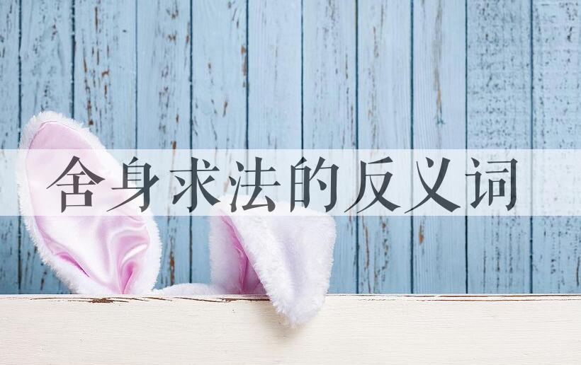 用舍身求法造句