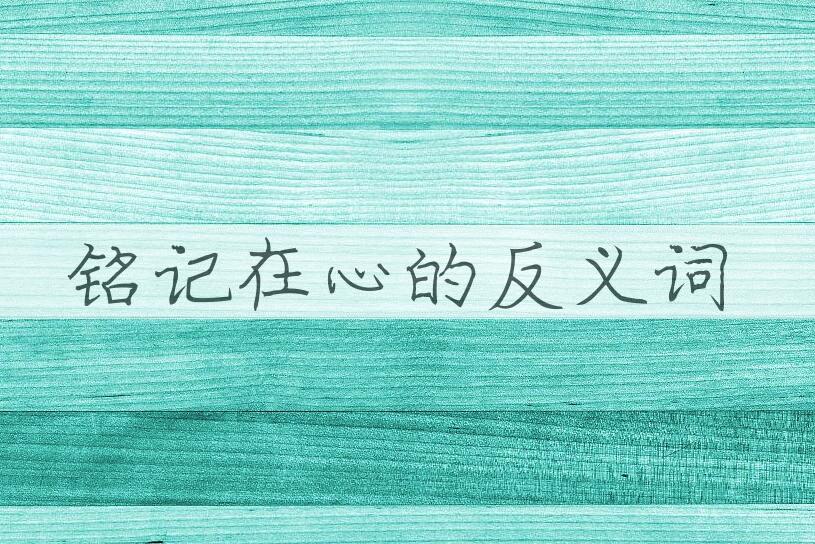 用铭记在心造句