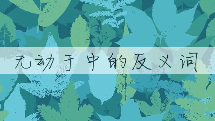 用无动于中造句