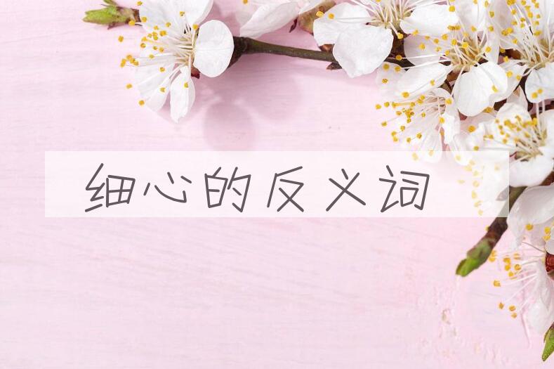 用细心造句