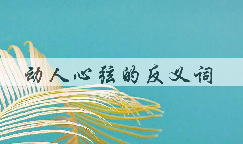 用动人心弦造句