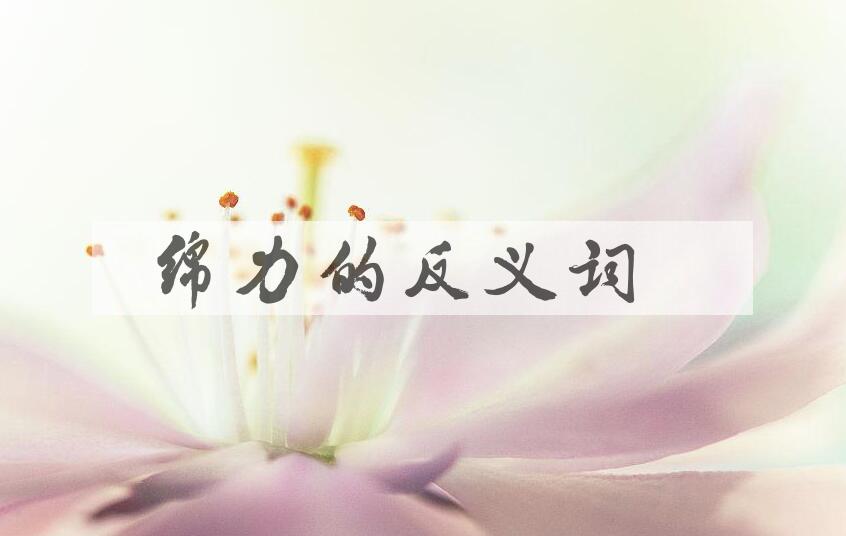 用绵力造句