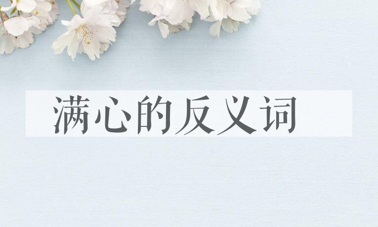 用满心造句