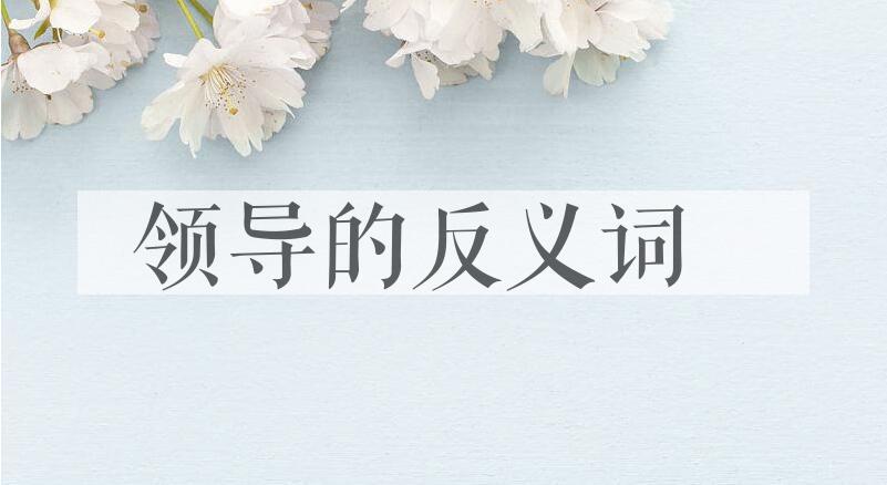 用领导造句