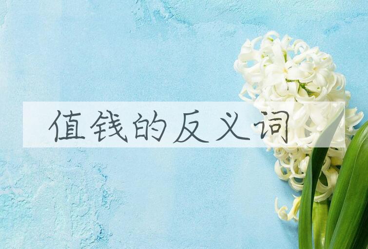 用值钱造句