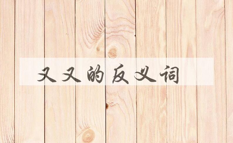 用又又造句