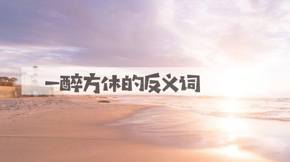 用一醉方休造句