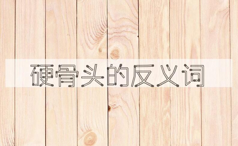 用硬骨头造句