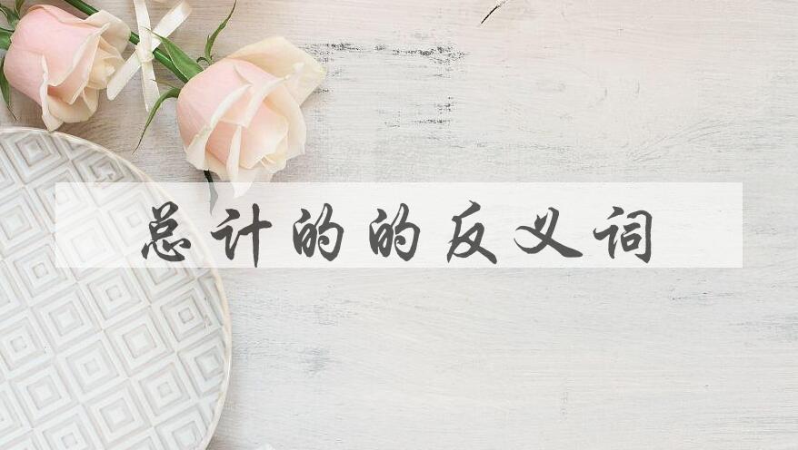 用总计的造句
