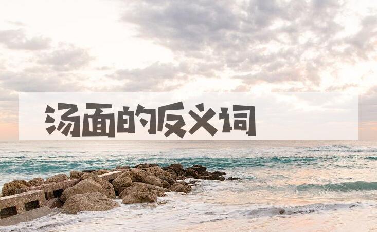 用汤面造句