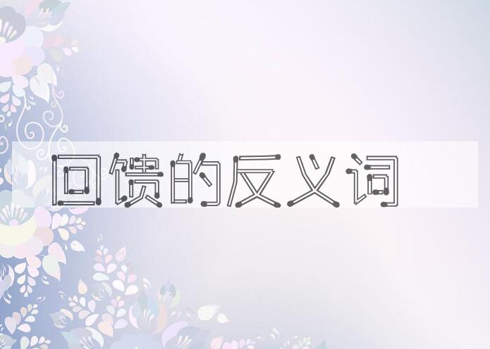 用回馈造句