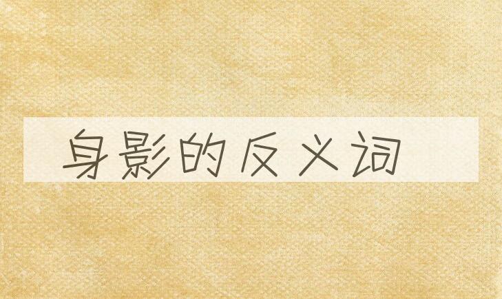 用身影造句