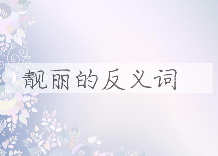 用靓丽造句