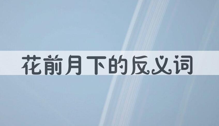 用花前月下造句