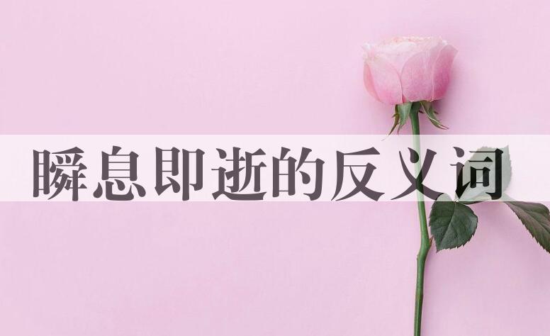 用瞬息即逝造句