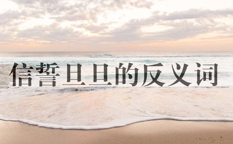 用信誓旦旦造句