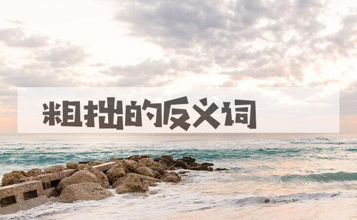 用粗拙造句