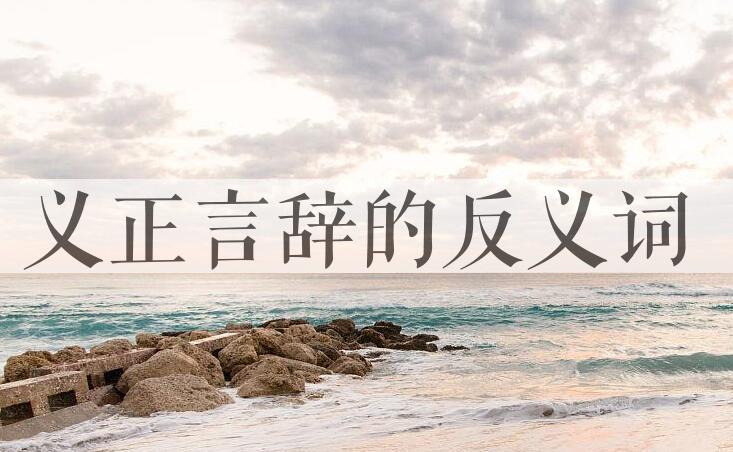 用义正言辞造句