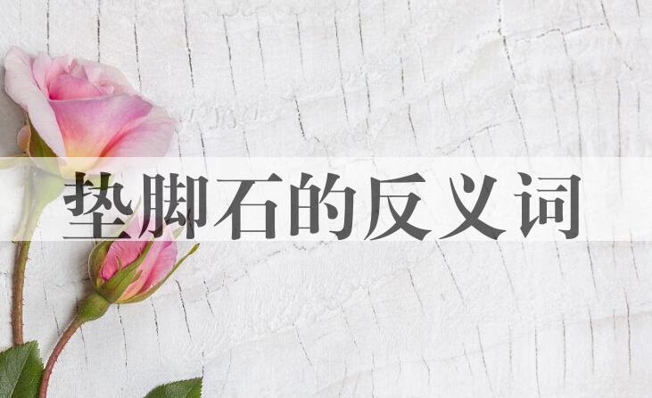 用垫脚石造句
