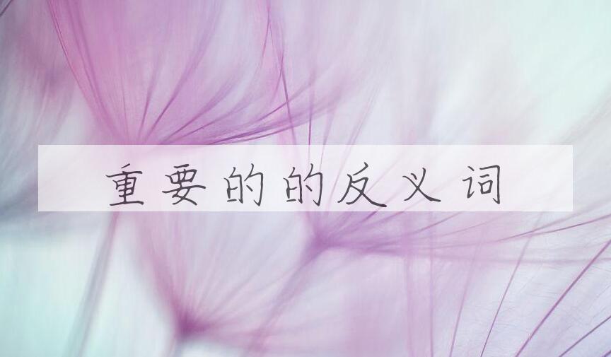 用重要的造句