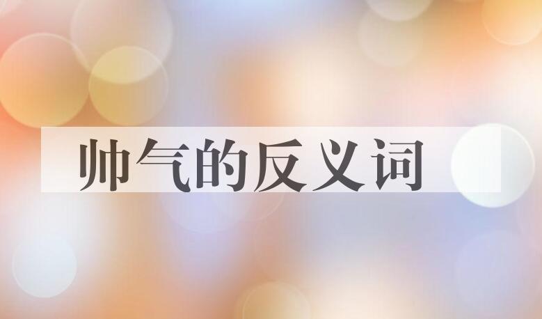 用帅气造句