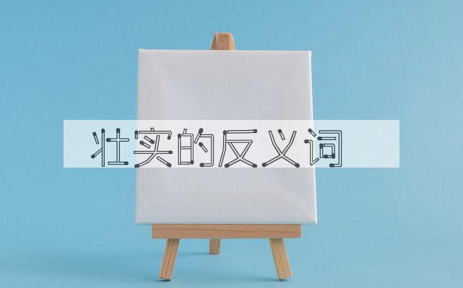 用壮实造句