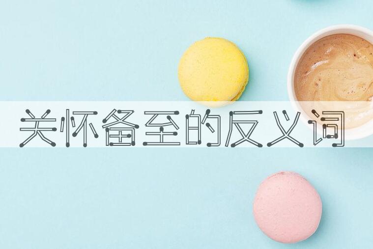 用关怀备至造句