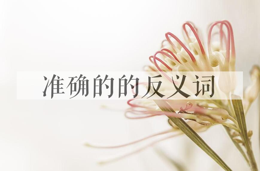 用准确的造句