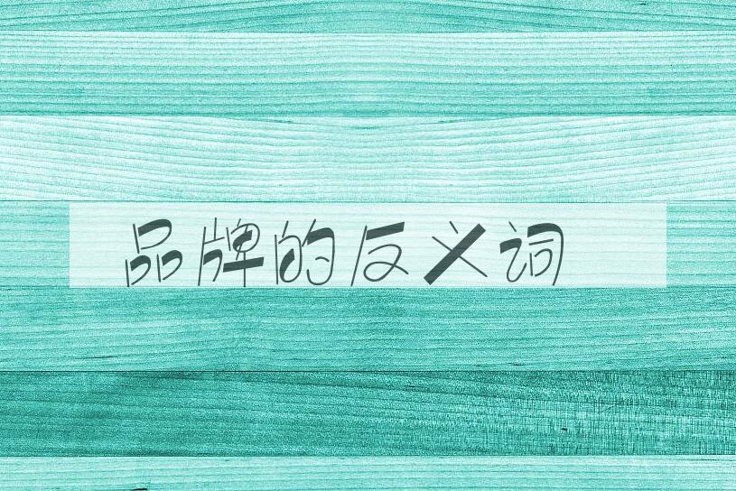 用品牌造句