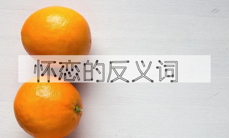 用怀恋造句