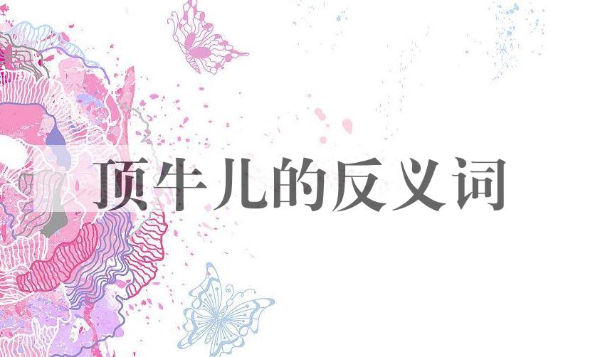 用顶牛儿造句
