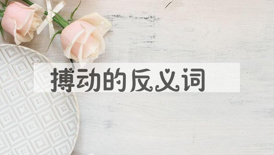 用搏动造句